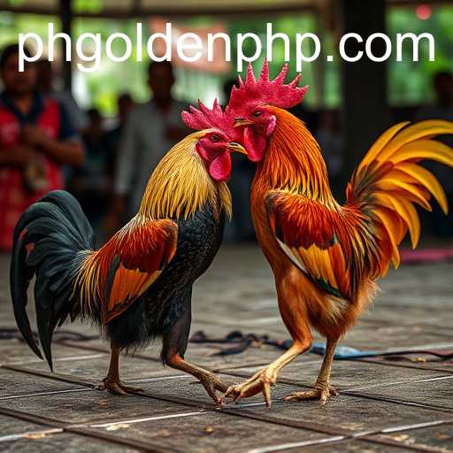 Exploring the World of Sabong Games